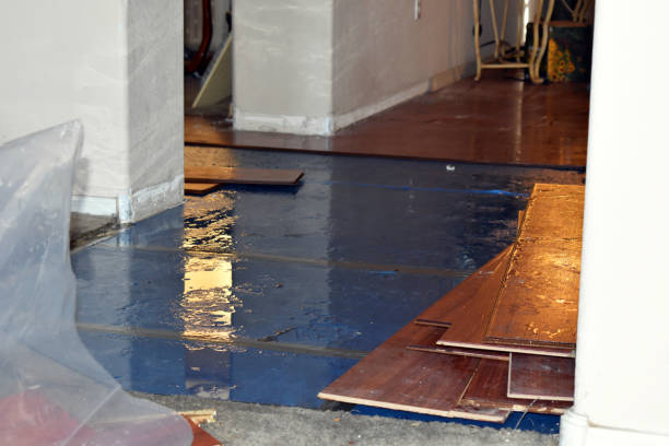 Professional Sewage Cleanup technician working in Claremont, MN